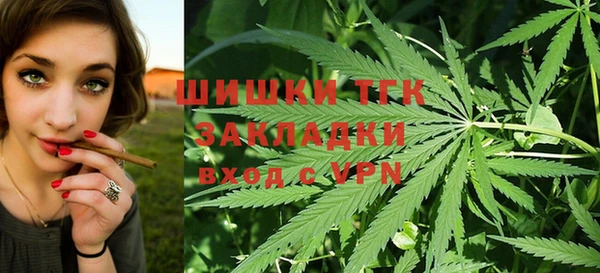 шишки Бугульма